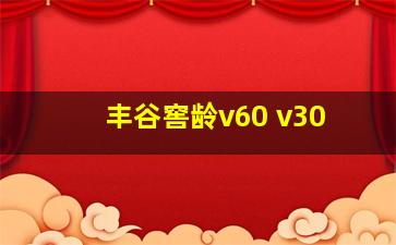 丰谷窖龄v60 v30